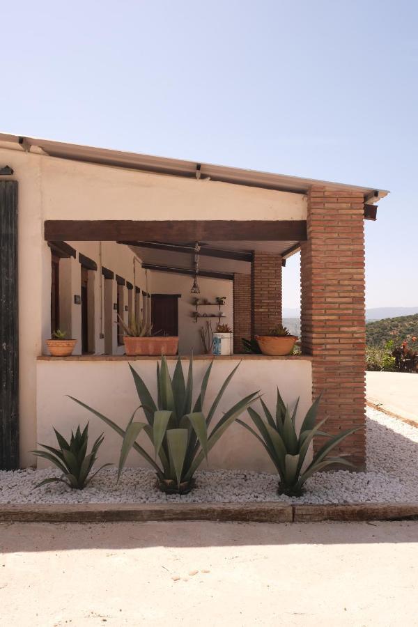The Wild Olive Andalucia Palma Guestroom Касарес Екстериор снимка